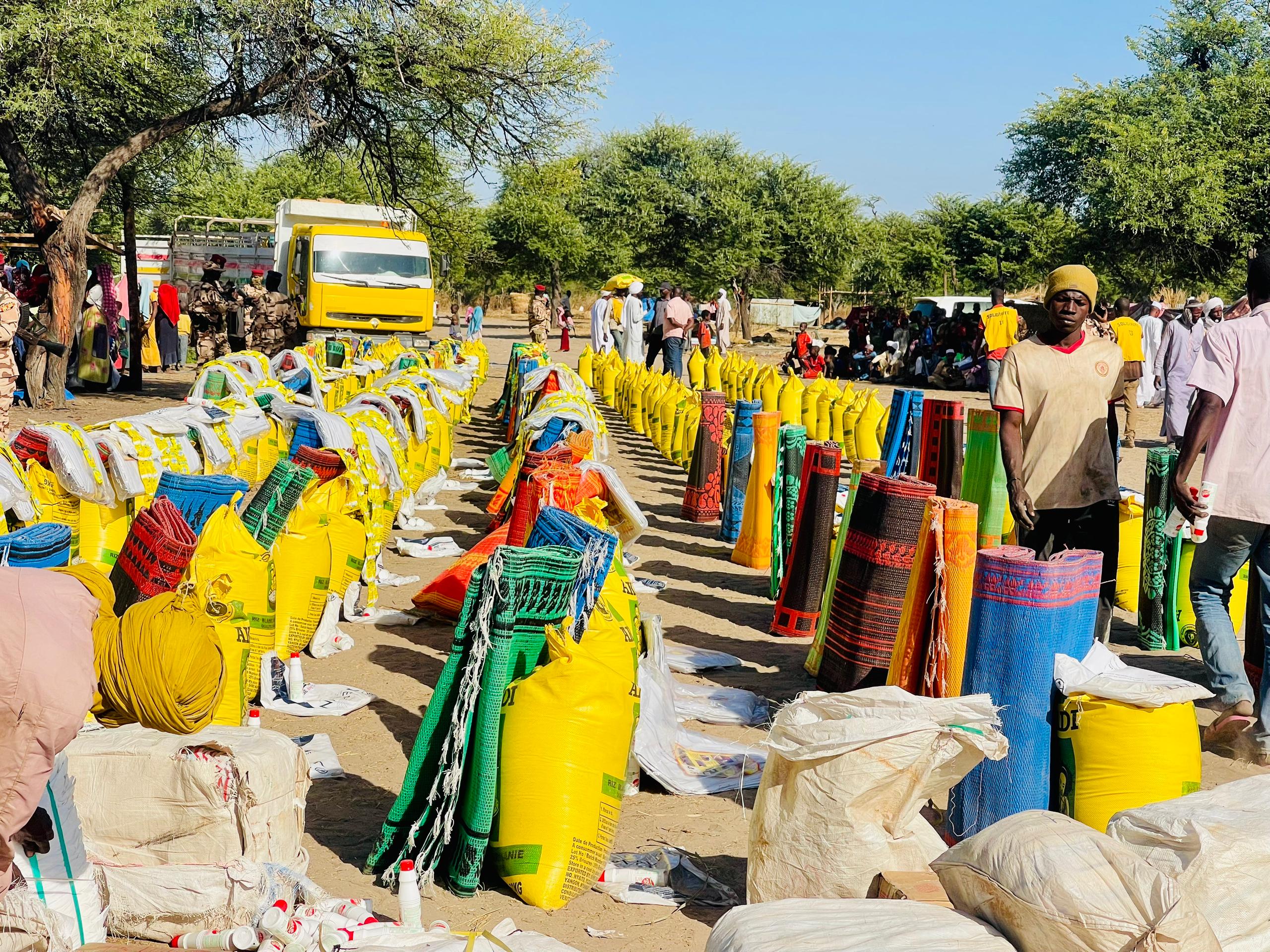 Tchad : Distribution des vivres et non vivres aux victimes des attaques terroristes perpétrées par Boko Haram dans la région du Lac-Tchad.